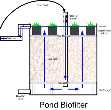 diy sand filter for koi pond - Josphine Marvin