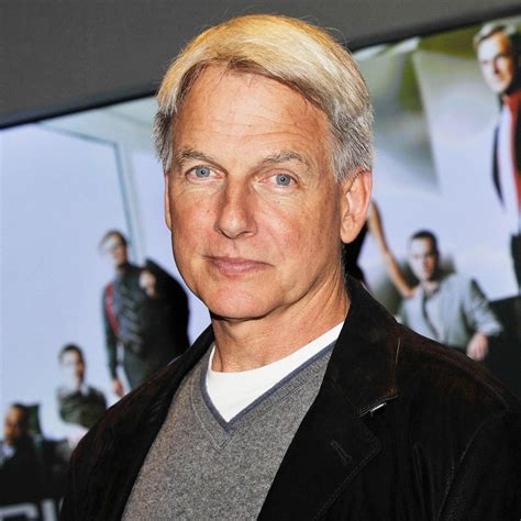 NCIS star Mark Harmon shares next project in huge career update | HELLO!