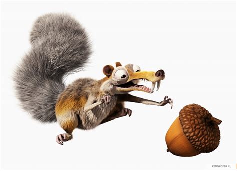 Scrat - Ice Age 3: dawn of the dinosaurs Photo (41363260) - Fanpop