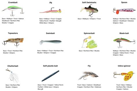 Fishing Lures Types Chart Sportsman's Warehouse, 52% OFF