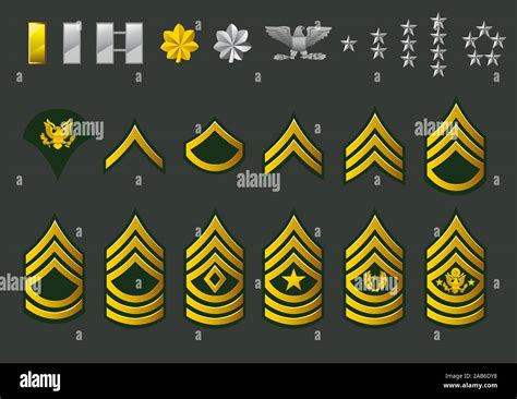 Enlisted Army Ranks Army Enlisted Rank Insignia Stock Vector | Porn Sex Picture