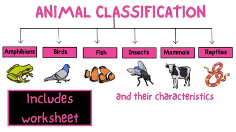 Classification Of Living Things Chart Class Mammals