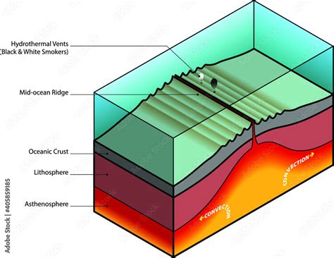 Mid-ocean ridge diagram. Stock Vector | Adobe Stock