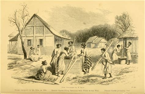 Plantation Life – Sankofa Archives