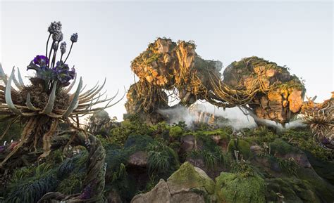 Disney Animal Kingdom to Offer Nightly Extra Magic Hours for Pandora ...