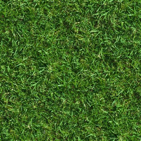 HIGH RESOLUTION TEXTURES: Green lush grass texture