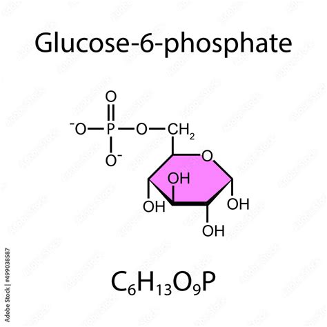 Glucose-6-Phosphate Chemical Structure. Vector Illustration. Stock Vector | Adobe Stock