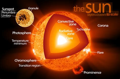 [DIAGRAM] Labeled Diagram Of The Sun - MYDIAGRAM.ONLINE