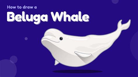 Beluga Whale Drawing