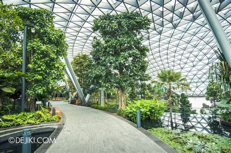 Canopy Park attractions at Jewel Changi Airport | Dejiki.com