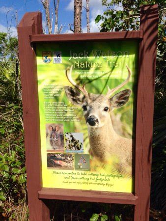 National Key Deer Refuge (Big Pine Key, FL): Top Tips Before You Go (with Photos) - TripAdvisor