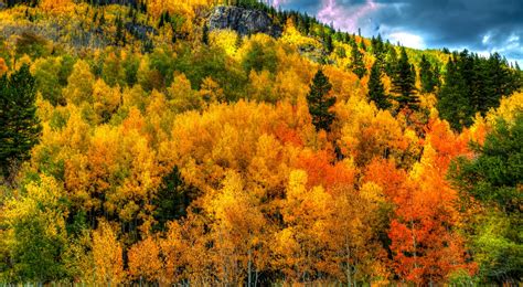 11 Colorful Autumn Drives in Colorado | Top Places to See Fall Foliage