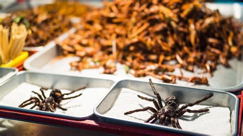 Eating spiders in Cambodia. Gimmick or gourmet? | Intrepid Travel Blog ...