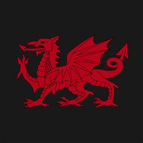 Welsh Red Dragon, Welsh Prides, From Flag Of Wales - Dragon - Long Sleeve T-Shirt | TeePublic