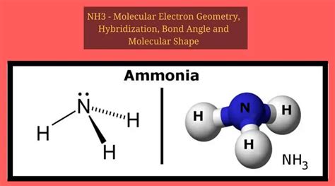 NH3 Lewis Structure, Molecular Geometry, Hybridization, Bond Angle & Shape