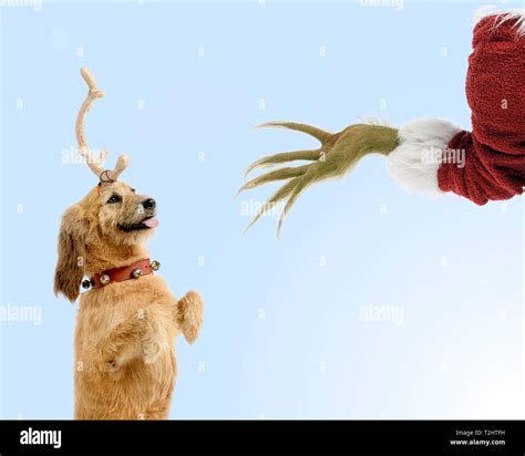 Best Templates: Grinch Dog Antler