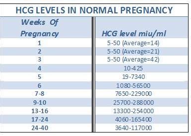 6 weeks - high HCG levels - Netmums Chat