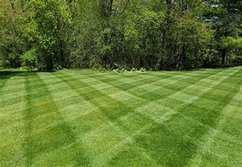 Lawn Striping and Lawn Patterns | Scag Power Equipment