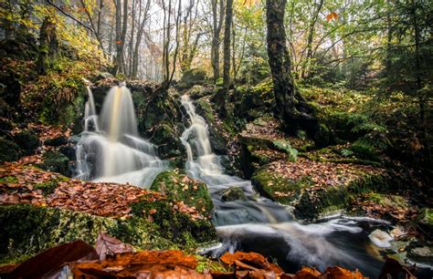 Woodland Waterfall by kimayres - VIEWBUG.com