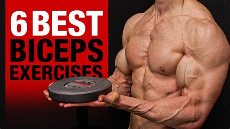 15 Best Dumbbell Biceps Exercises (GET BIG ARMS!) | atelier-yuwa.ciao.jp