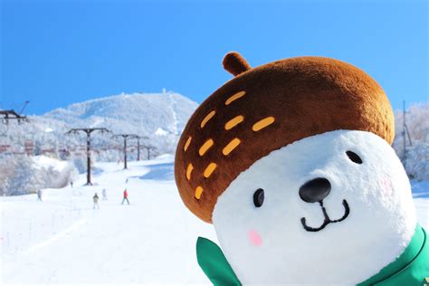 5 Best Ski Resorts in Nagano 2024-2025 - Japan Web Magazine