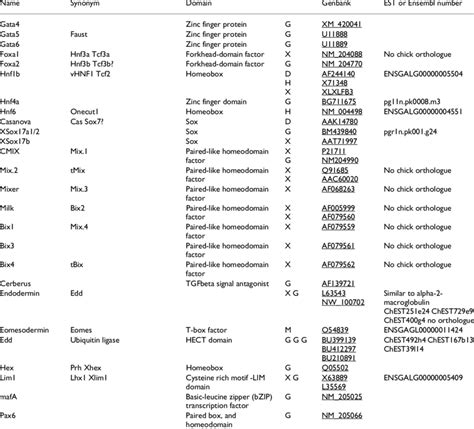 Endoderm markers and chick orthologues | Download Table