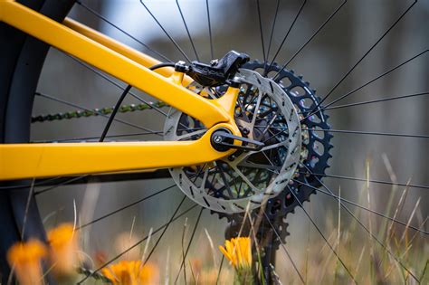 Trek Fuel EX 2023 On Test | All-new and more versatile than ever