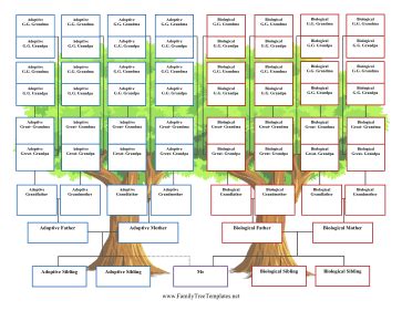 5-Generation Adoption Family Tree Template