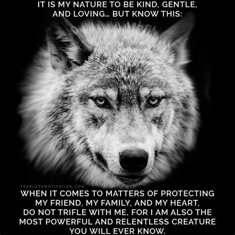 Alpha Wolf Quotes Wallpaper