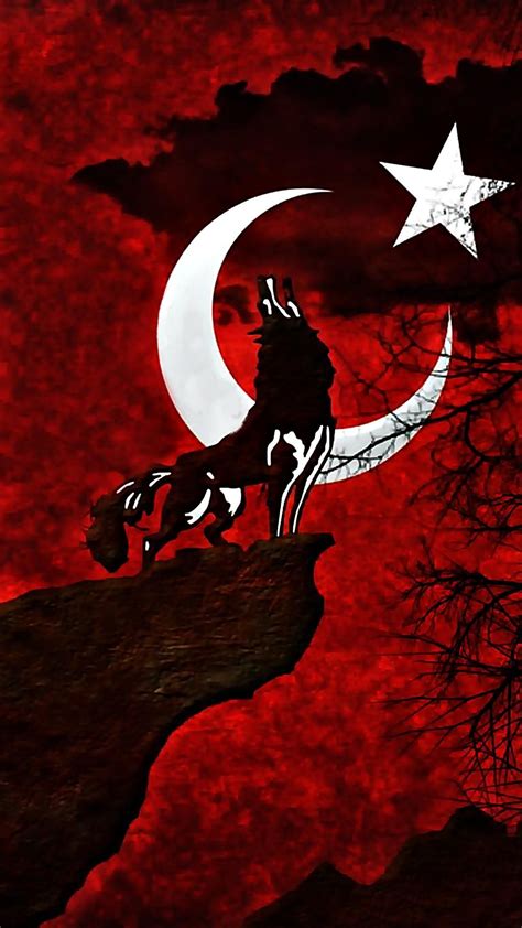 turkey flag wolf | Bozkurt, Resim, Mavi sanat