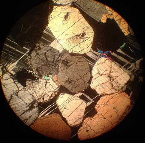 Learning Geology: 30+ Thin Section Photos That Will Develop Your Interest in Petrography