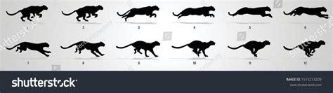 2,802 Panther running Images, Stock Photos & Vectors | Shutterstock