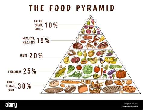 Healthy food plan pyramid. Infographics for Balanced Diet percentage. Lifestyle concept ...