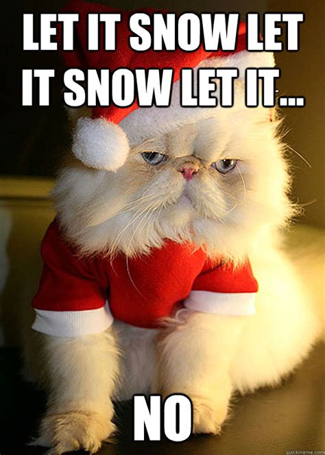 Let it snow let it snow let it... no - Angry Cat - quickmeme