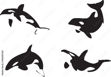 silhouette of orca set. negative space. only black. isolated images. eps 10 Stock Vector | Adobe ...