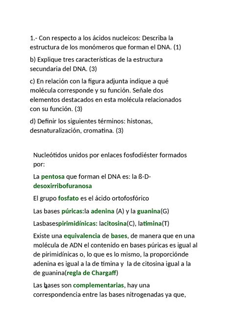 Solución ejercicios_ac_nucleicos | Ejercicios de Biología | Docsity