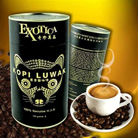 Cat Poop Coffee – The World’s Most Expensive Coffee, Kopi Luwak – BeanPick