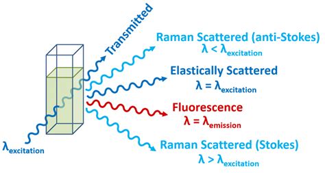 Raman Scattering in Fluorescence Emission Spectra | Common Errors