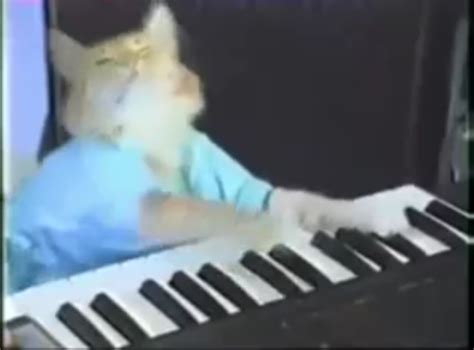 Keyboard Cat | Know Your Meme