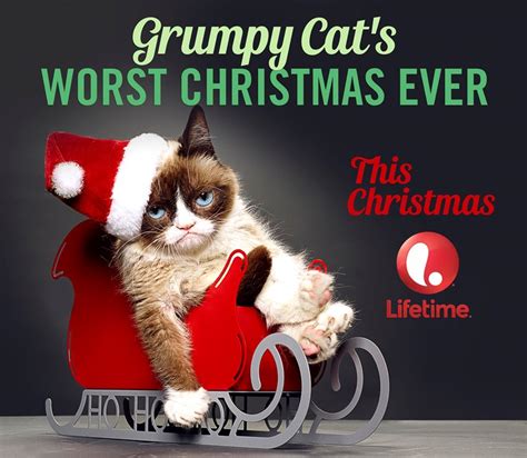 This first trailer for the GRUMPY CAT movie will make you grumpy