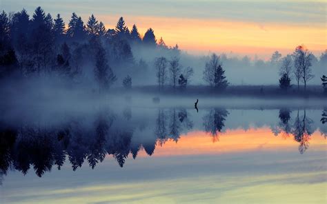 nature, Landscape, Mist, Sunrise, Lake, Forest, Reflection, Blue, Trees Wallpapers HD / Desktop ...