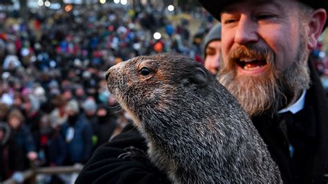 Groundhog Day 2023: Did Punxsutawney Phil see his shadow? | fox61.com