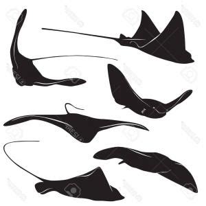 Manta Ray Vector at GetDrawings | Free download