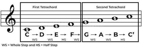 The C Major Scale - General Overview - Phamox Music