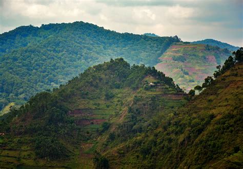 Market-compliant forest conservation (REDD+) | Heinrich-Böll-Stiftung