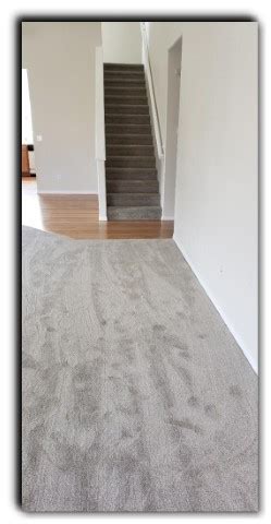 Cut Pile Carpet – Coventry Flooring