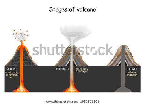 Dormant Stage Royalty-Free Images, Stock Photos & Pictures | Shutterstock