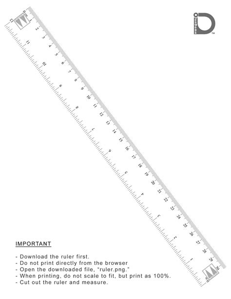 Centimeter Ruler Printable Pdf