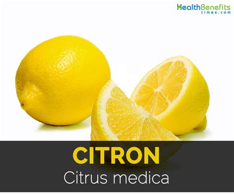 Citron Facts and Health Benefits