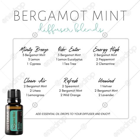 Bergamot Mint Diffuser Blends by Pixel Perfect